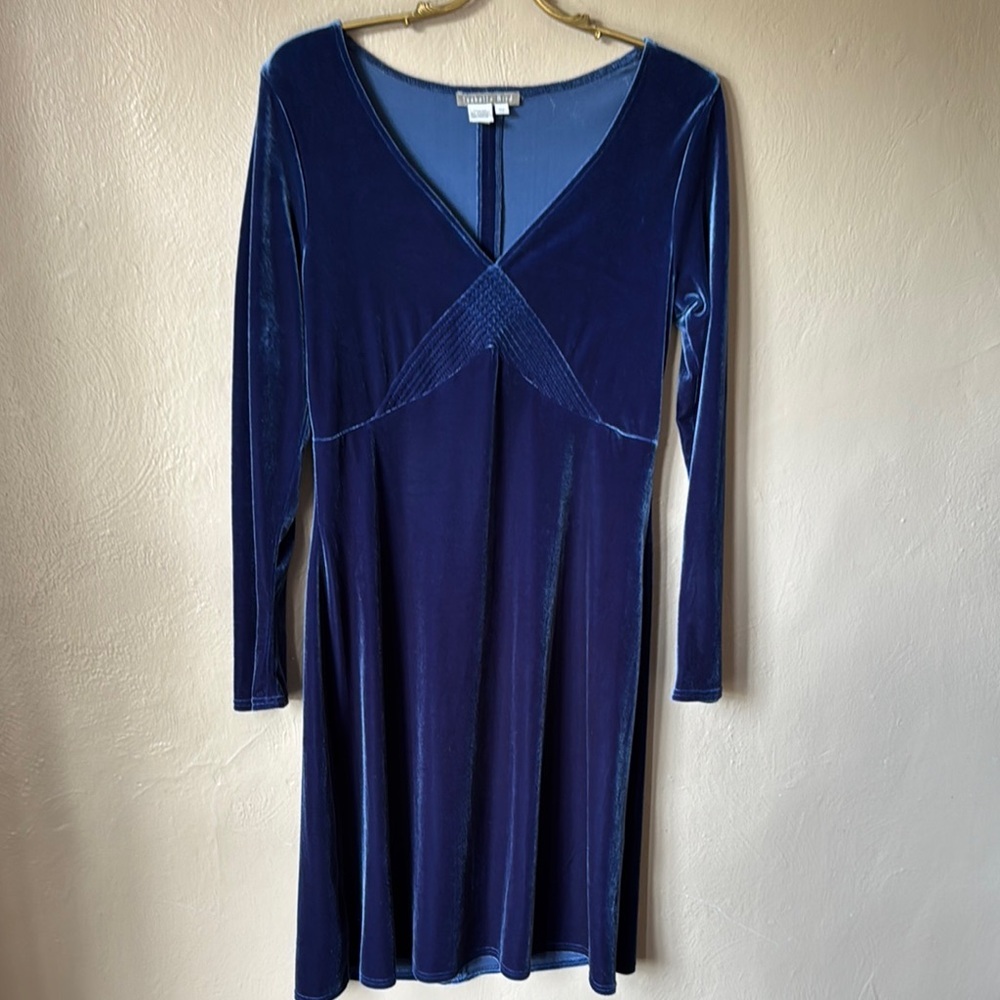 Isabella Blue Velvet Long Sleeve Dress
